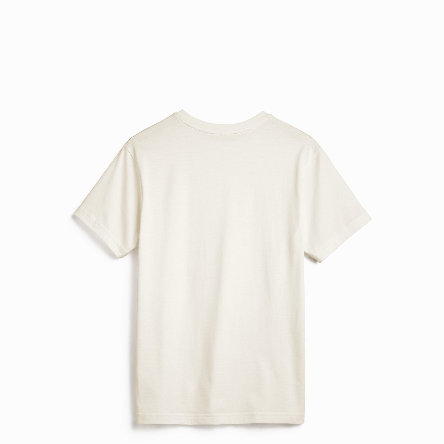 Back view of Robenti Ivory PIMA Cotton T-Shirt